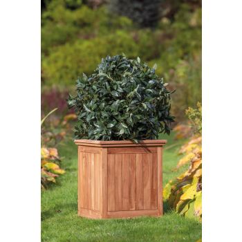 Bloembak teak Kalimantan klein